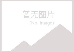 蓝田县晓绿造纸有限公司